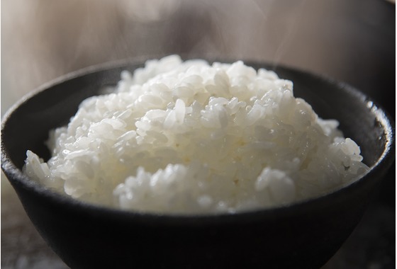 スタジオ　アクティビスト