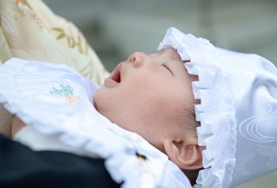 アラタンホヤガ