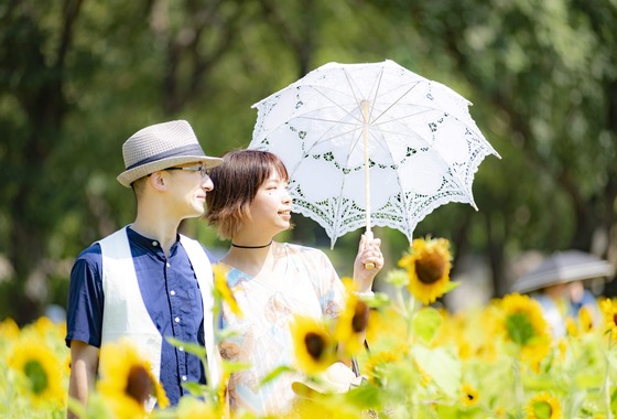 ならもとかずや