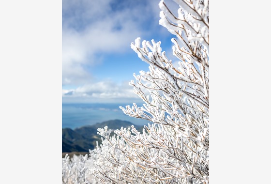 PhotoBaseありよし