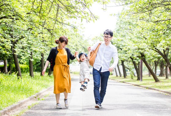 Field of the sun.creative