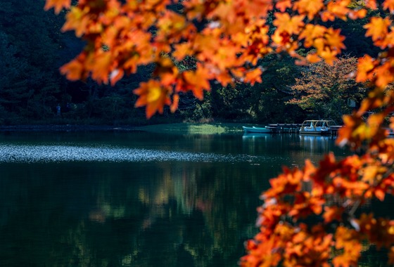 PhotoBaseありよし