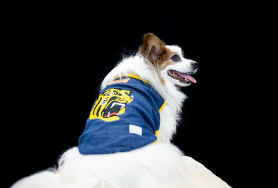 スマイルチューン