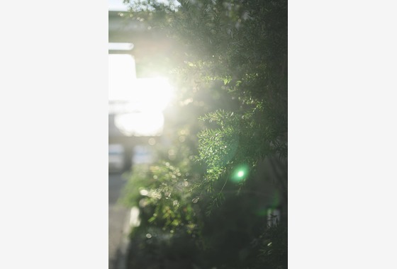 フジオカ　シュウヘイ