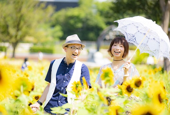 ならもとかずや