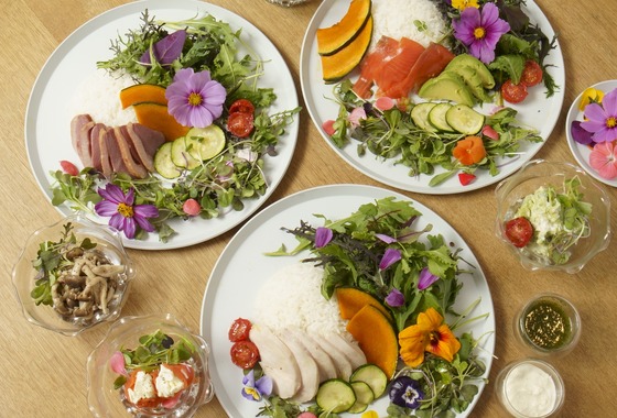 フォトオフィスショット