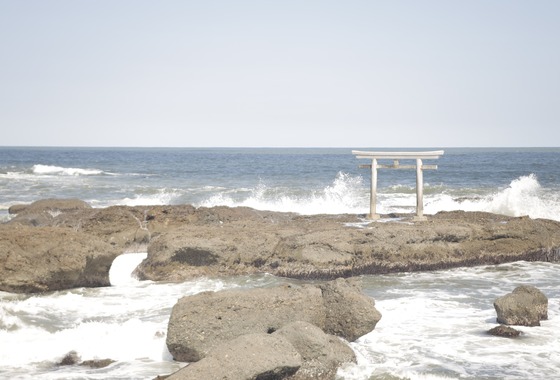 ブイ・シー・エス　アーガシア