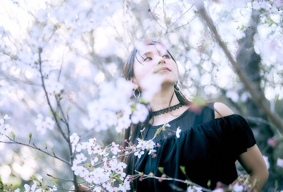 Wohltech（ヴォールテック）