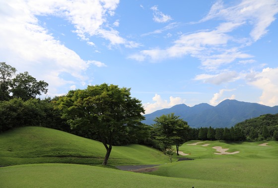 アナハイムエレクトロニクス