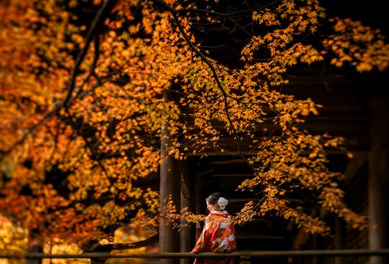 縁鎌倉ウェディング