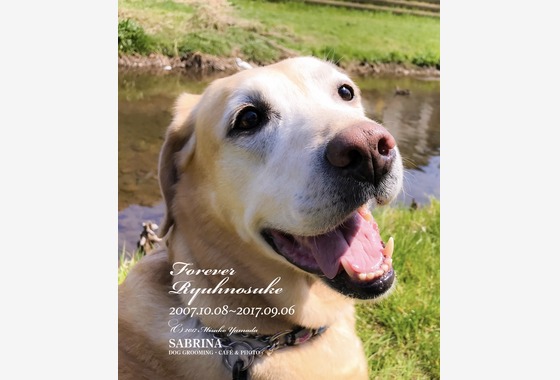 Studio SABRINA  スタジオ サブリーナ