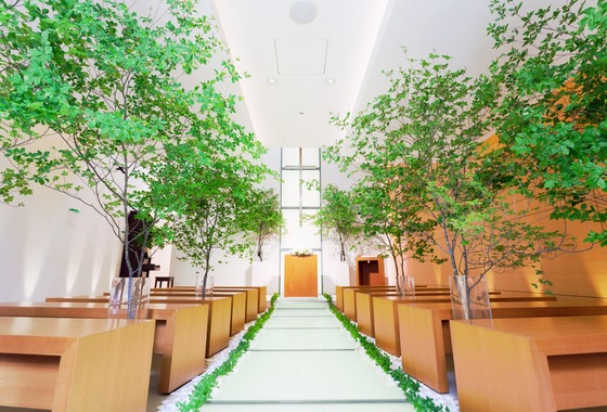 チッタウェディング