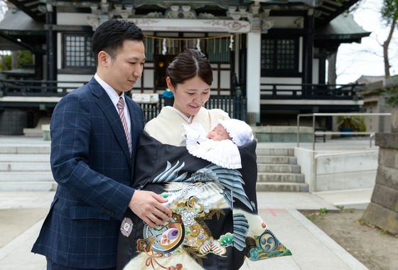 アラタンホヤガ