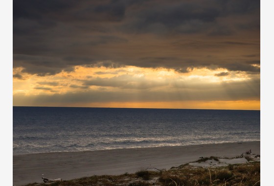 イレイモンケニー