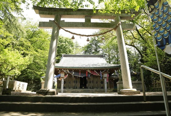 株式会社木立写真館