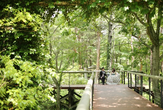 PIC WEDDING PHOTO（関口純一）