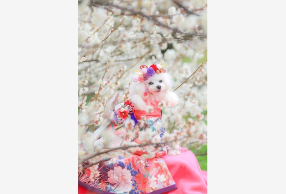 高橋 透（Coo&Sea STUDIO代表）