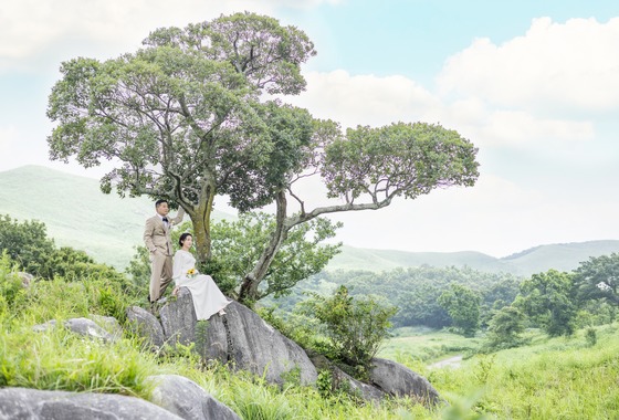 濱野瞬写真事務所