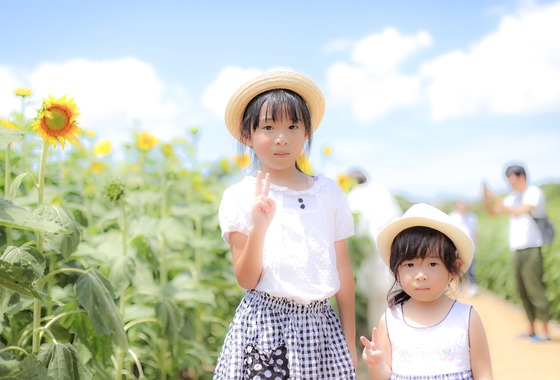宮部