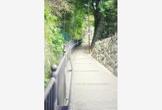 hide_photographer