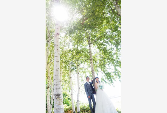 株式会社フォトシーズン