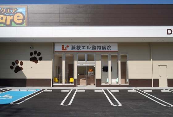 出張撮影くろめっと