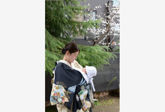 アラタンホヤガ