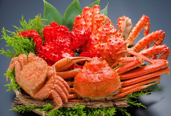 大崎写真事務所