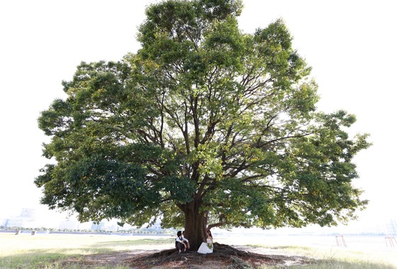 ラプラージュフォトスタジオ