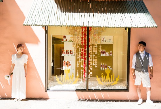 Field of the sun.creative