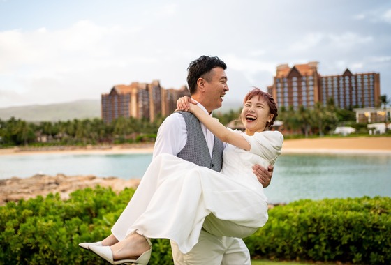 Field of the sun.creative