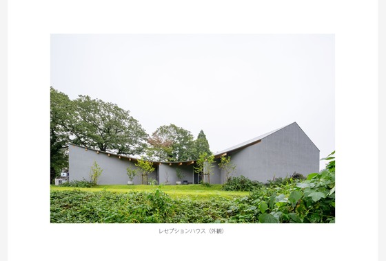 クリエイティブツリー