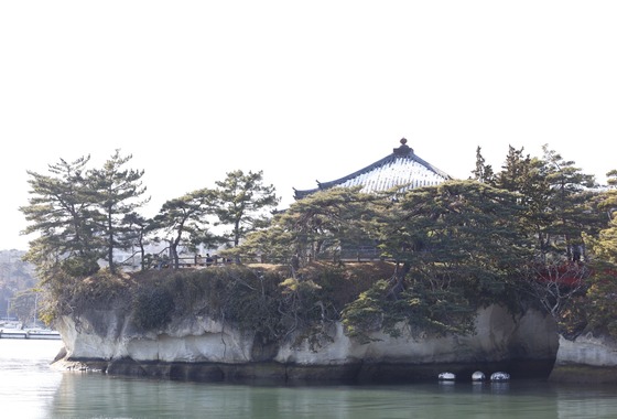 ブイ・シー・エス　アーガシア