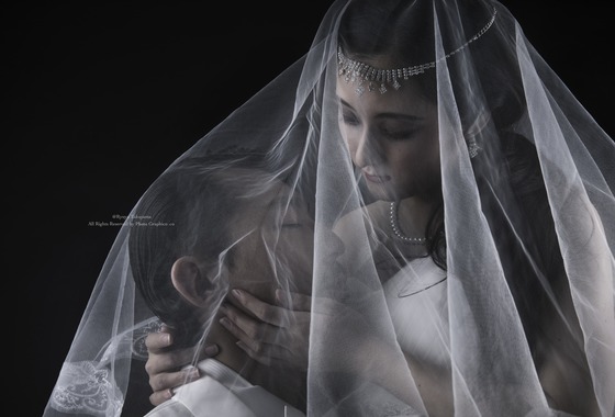 Photo Graphico 株式会社 PGクリエイト