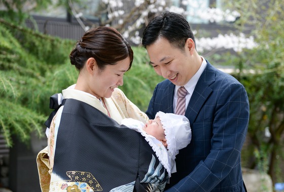 アラタンホヤガ