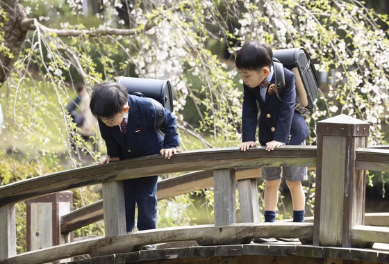 マモさんの写真室