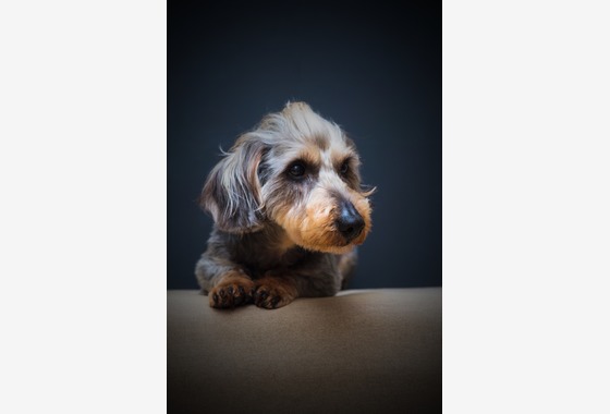 代表　安保　直紀