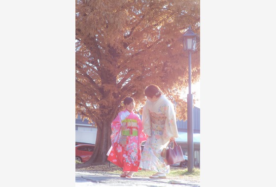 プロカメラマン　竹之下　光（あきら）