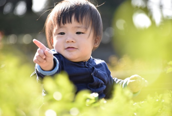 まっけん写真事務所