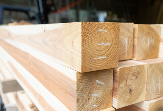 出張撮影くろさわ