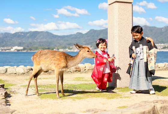 KIKIウェディング