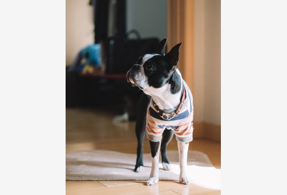 スタジオトモロ