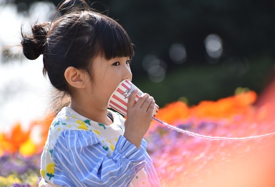 まっけん写真事務所