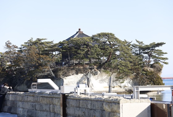 ブイ・シー・エス　アーガシア