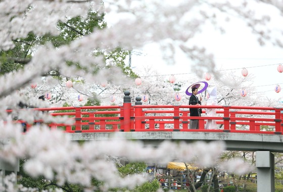 フォトスタジオ　ファータ（武田 渉）