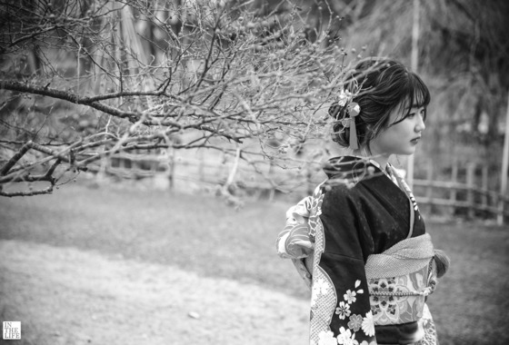 伊藤写真事務所 イン・ザ・ライフ