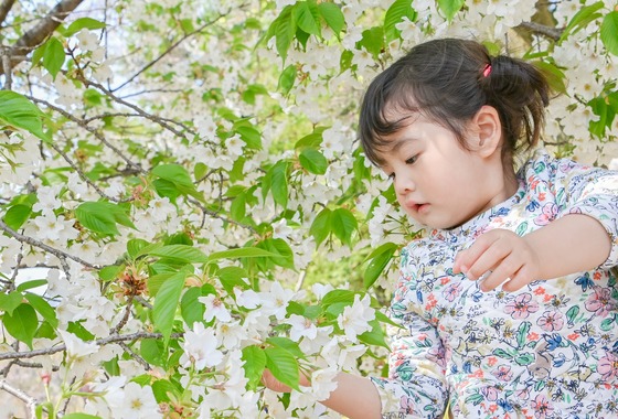 Blanc Jour Photo (ブランジュールフォト）