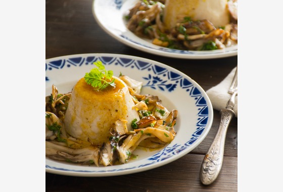 studio white alice 五十嵐啓