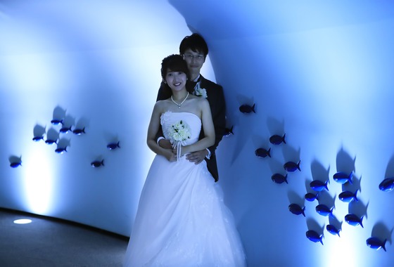 Yoshikatsu Yamaguchi