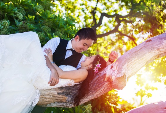 Hawaii Life Photography & Media